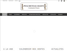 Tablet Screenshot of pescheteau-badin.com